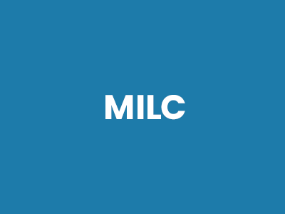 MILC – Millennials innovate and learn through chaos
